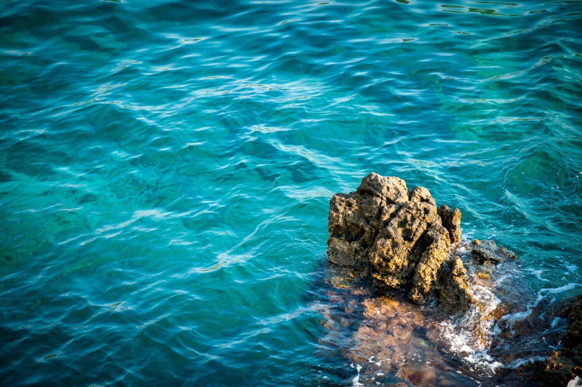فندق رويال برنسس دوبروفينك المظهر الخارجي الصورة Sea water