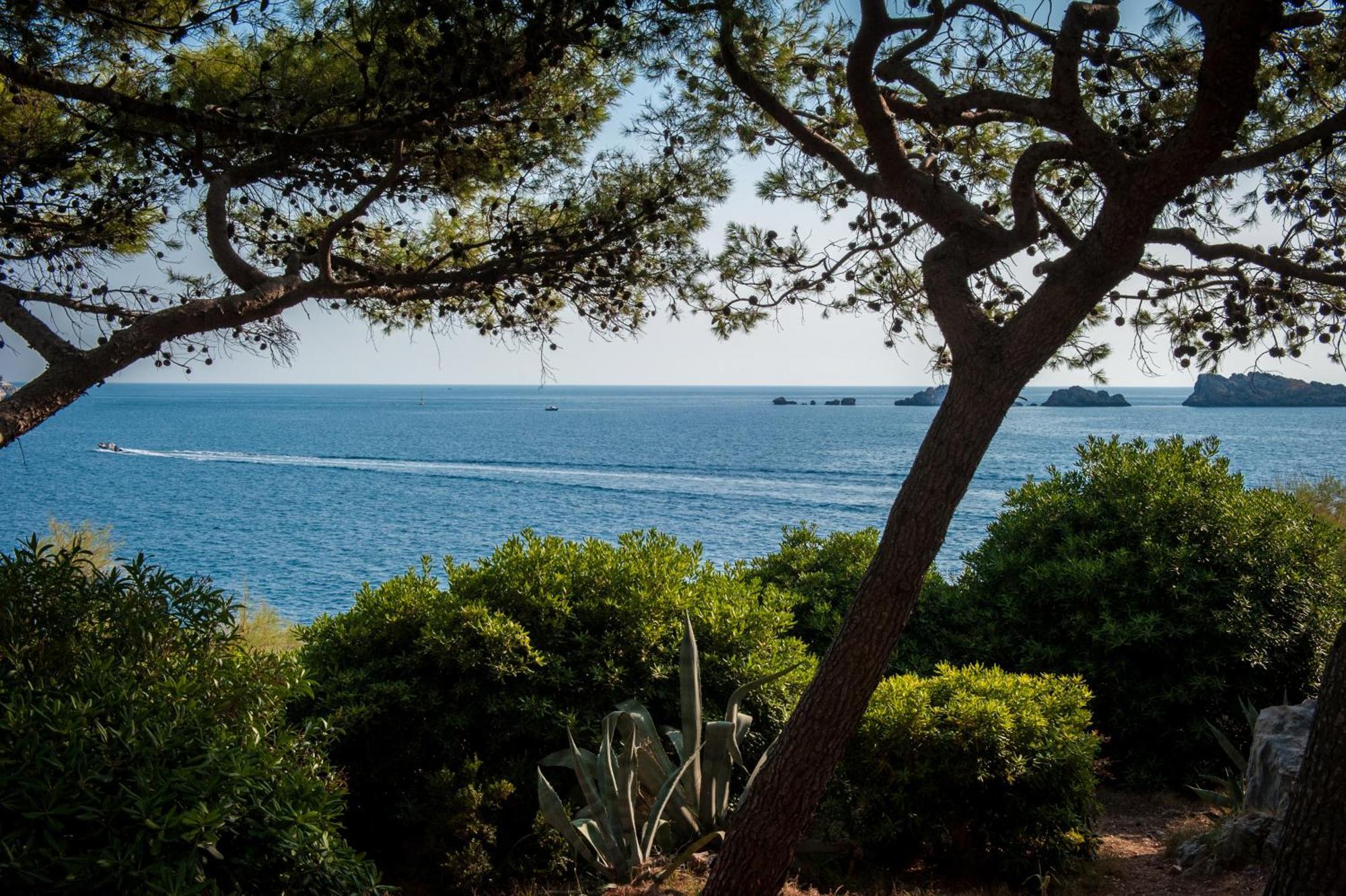 فندق رويال برنسس دوبروفينك المظهر الخارجي الصورة View of the sea from the park